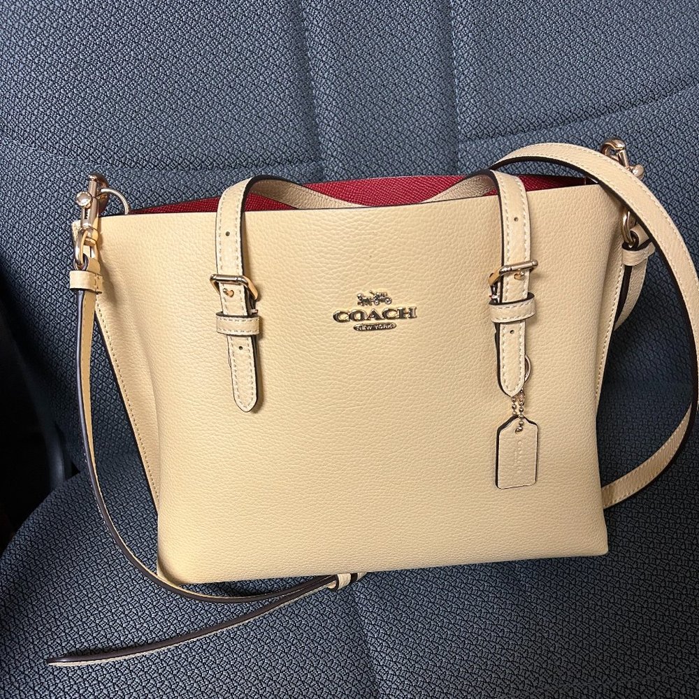 COACH Mini Mollie Tote 25 Crossbody Bag